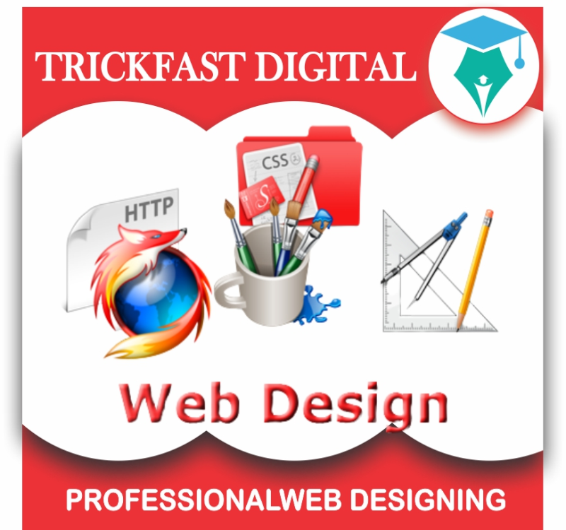 PROFESSIONAL WEB DESIGNING