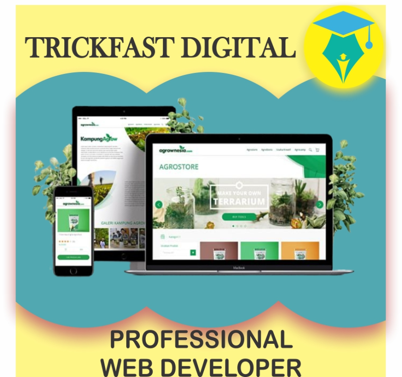 PROFESSIONAL WEB DEVELOPER