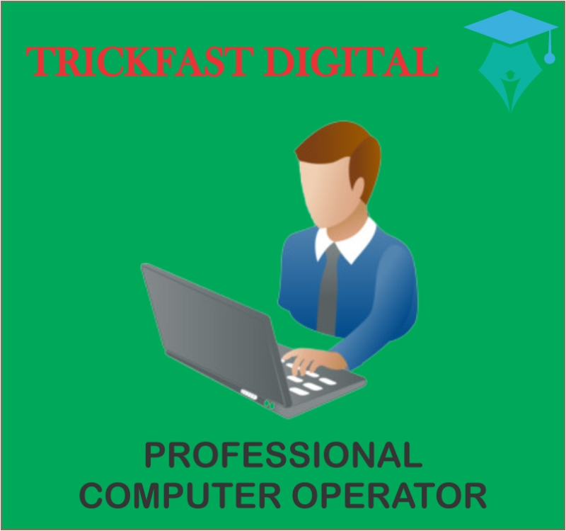 PROFESSIONAL COMPUTER OPERATOR