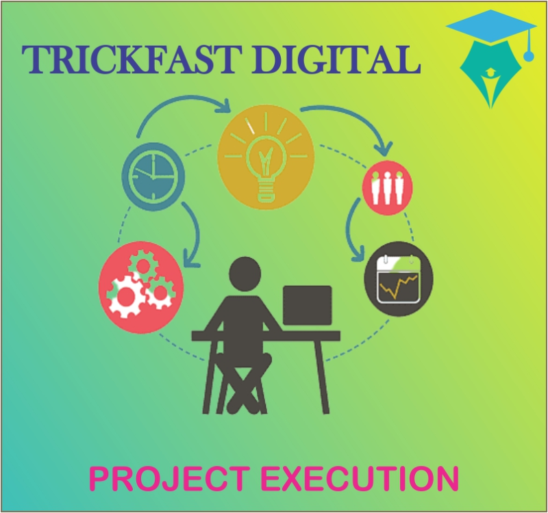 PROJECT EXECUTION
