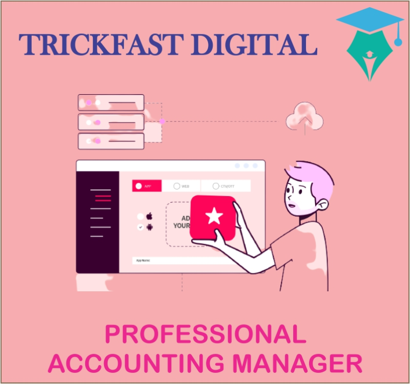 PROFESSIONAL ACCOUNTING MANAGER